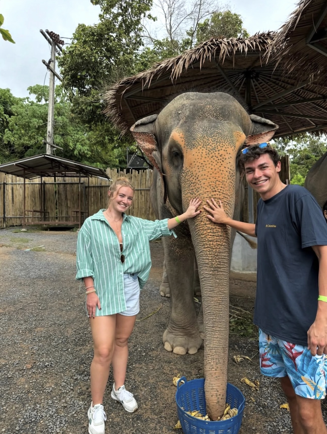 Two people touching an elephant's trunk near bucket